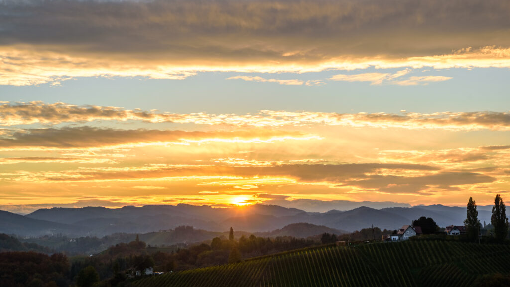 Autumn in southern styria. Vineyard fields country in austria Sunset.