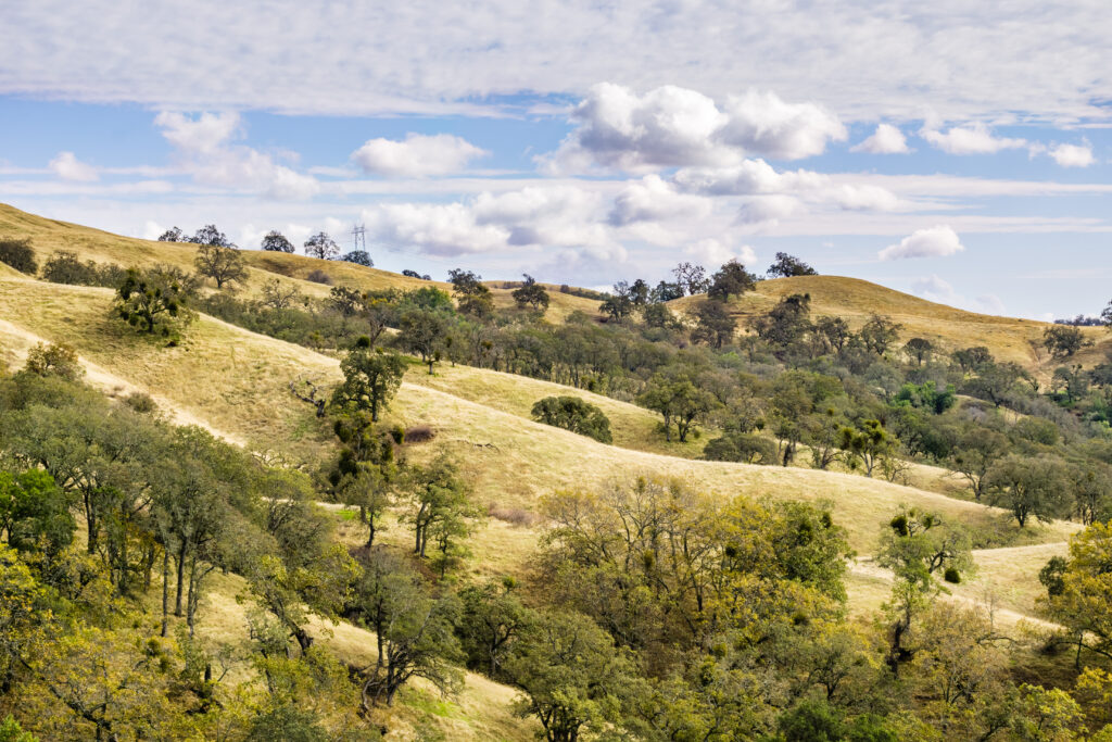 Landscape in Joseph Grant County Park, San Jose, California