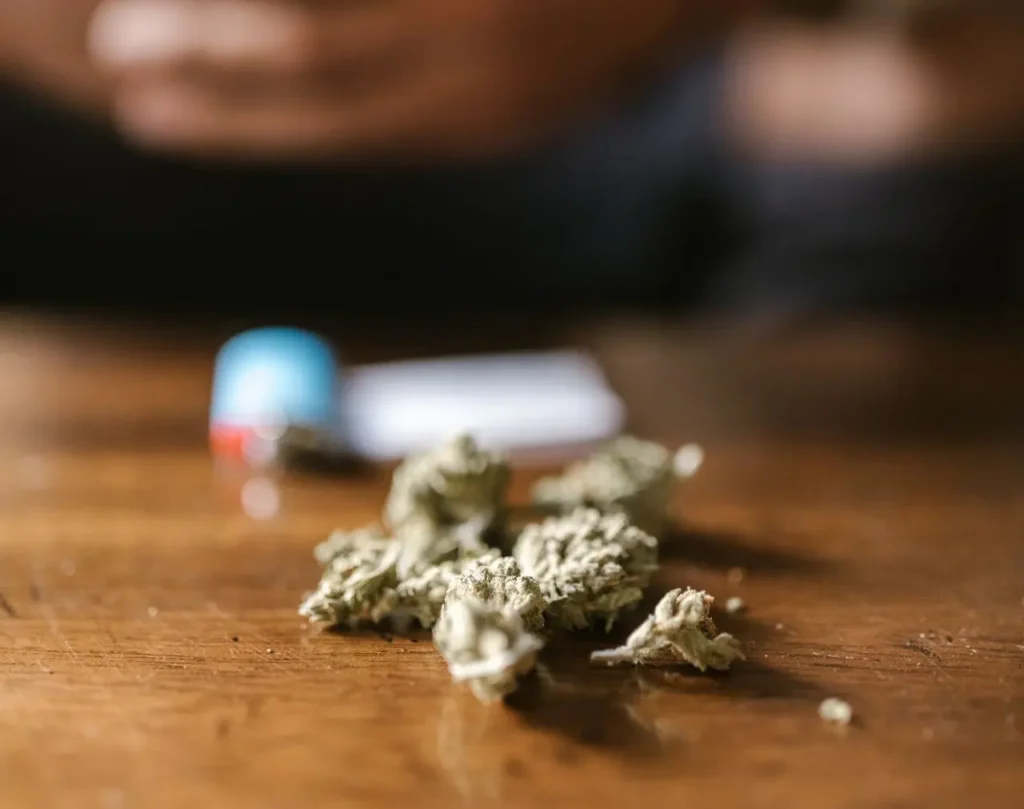 marijuana | cropped pexels rdne 8139648 1
