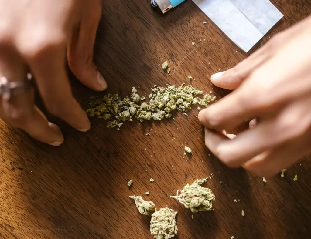 marijuana | cropped pexels rdne 8140235 1